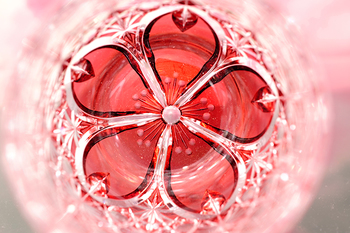「玉菊桜」